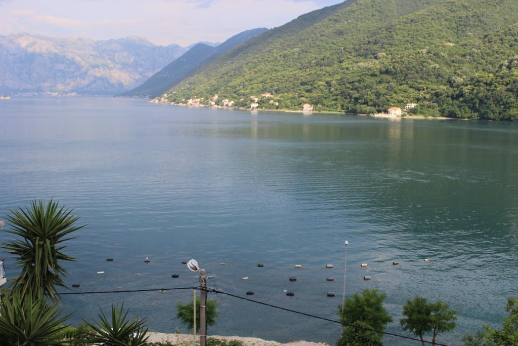 Apartments Mijuskovic Donji Morinj Δωμάτιο φωτογραφία